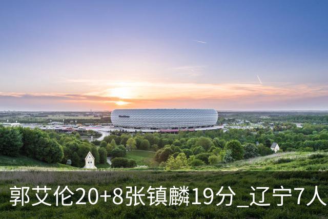 郭艾伦20+8张镇麟19分 辽宁7人上双力克深圳